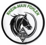 Rhein-Main Fohlen-1.JPG