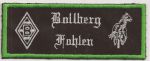 Bollberg Fohlen.jpg