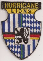 Hurricane Lions.jpg
