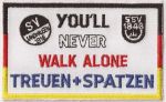 Die Treuen 93 & Ulmer Spatzen.jpg