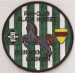Black Horses.jpg
