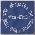 Blue White Vikings.jpg
