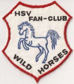 ka-FC Wild Horses.jpg