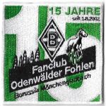 Odenwaelder Fohlen-2 - 15 Jahre.jpg