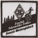 Odenwaelder Fohlen-0.jpg