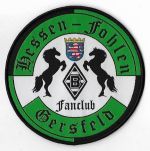 Hessen-Fohlen.JPG