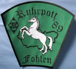 RA Gladbach - Ruhrpott Fohlen.JPG