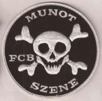 Basel FC - Munot-Szene-1.jpg