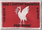 Liverpool - Red Power.jpg