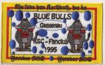 Blue Bulls.jpg