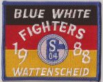 Blue White Fighters.jpg