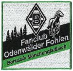 Odenwaelder Fohlen-1.jpg