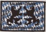 Saloon-Löwen.jpg