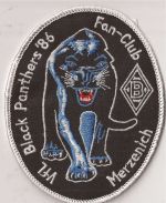 Black Panthers-1.jpg