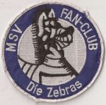 Die Zebras-4.jpg