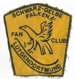Schwarz-Gelbe Falken-2.jpg